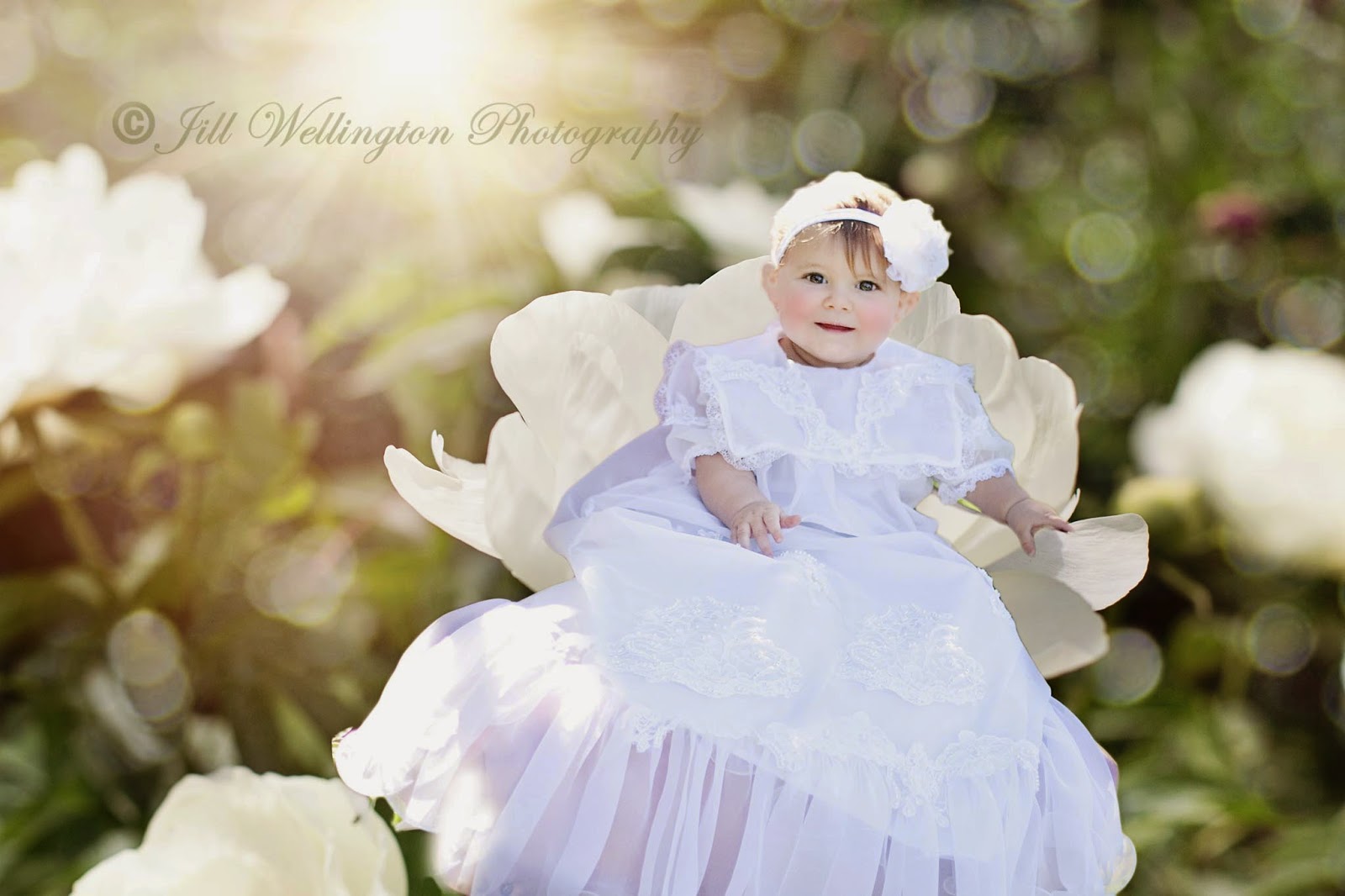 For Photographers Flower Babies