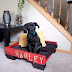 DIY Pallet Dog Bed Ideas Make At Home