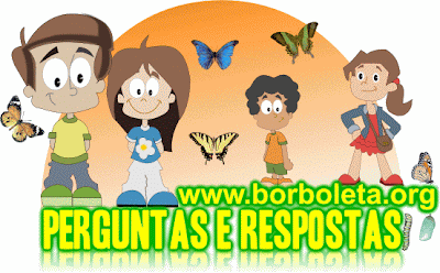 Perguntas e Respostas sobre as Borboletas