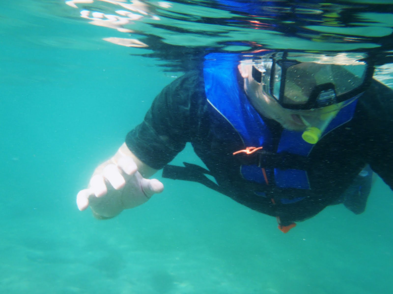 South Florida Guy Snorkeling in Jupiter