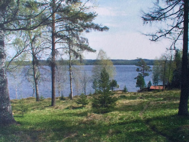 Äng Meadow