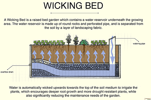 Real World Gardener Wicking Beds In The Good Earth Real World Gardener Wicking Beds In The, How To Set Up A Wicking Garden Bed
