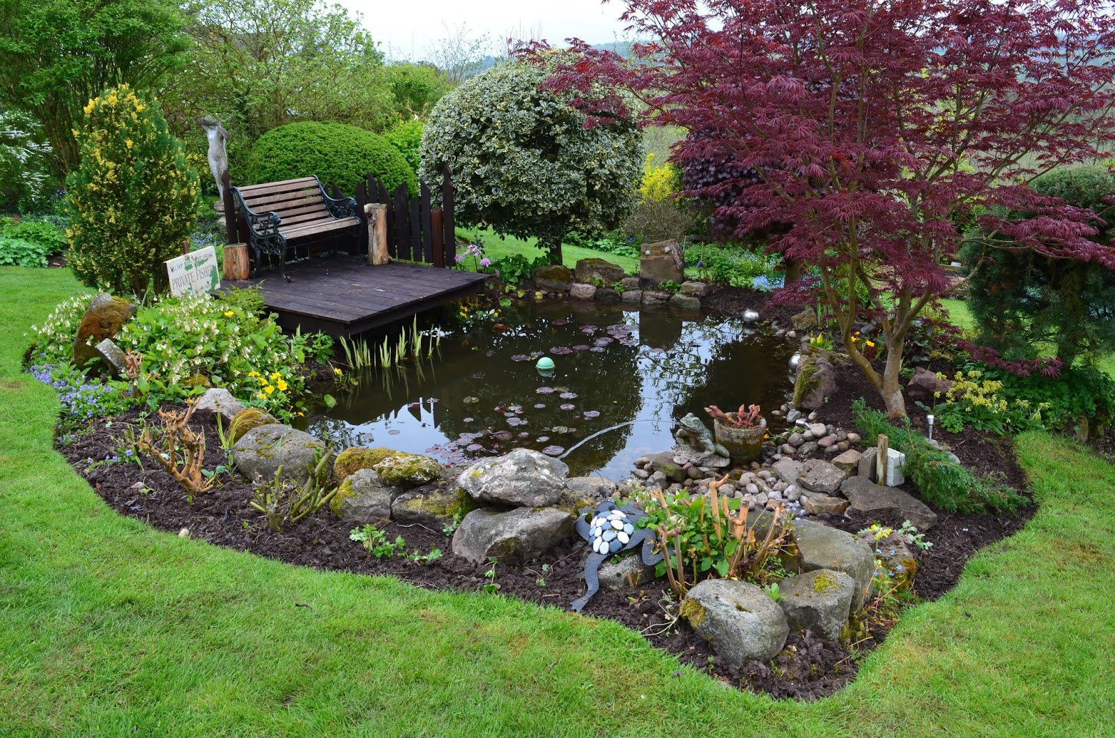 Pear Tree Cottage Garden Rocking Around the Pond!
