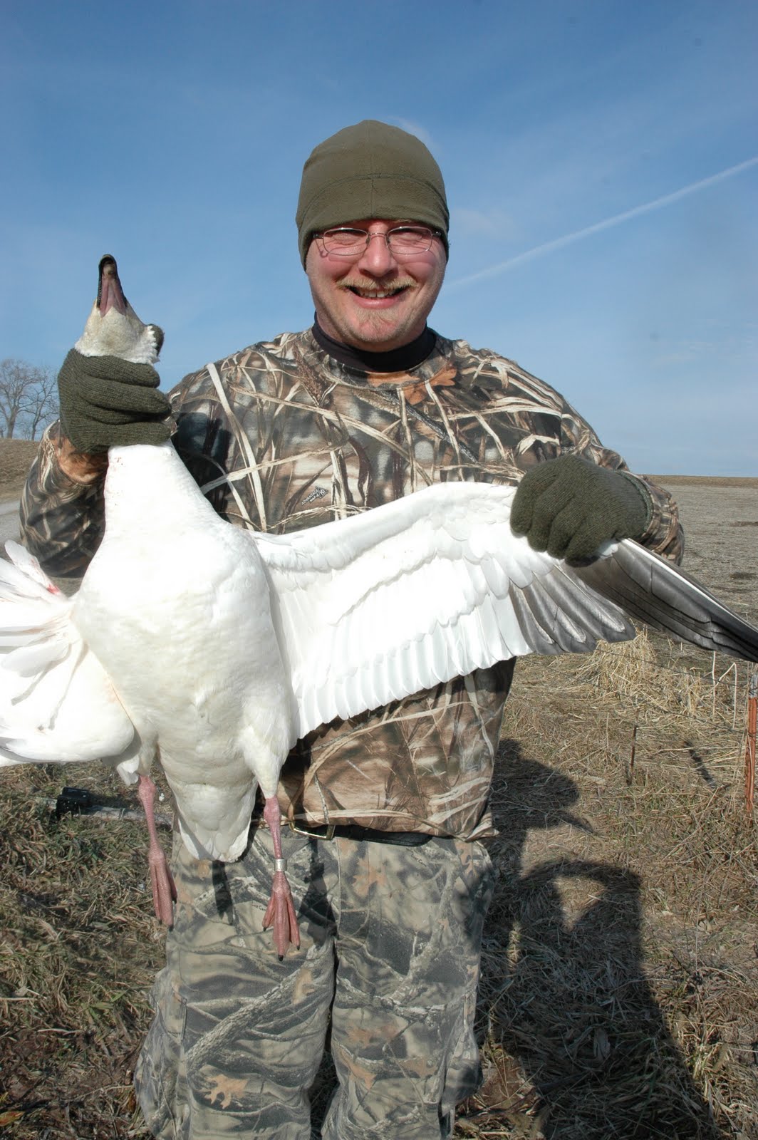 Snow Goose Chaser Snow Goose Guides Guided Snow Goose Hunts Mound