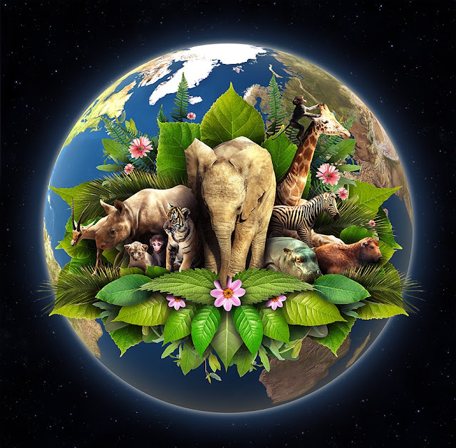 Wallpapers of Earth Day 2017 Happy Earth Day HD Wallpapers, Images, Pictures And Ecards