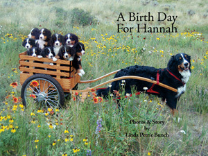 A Birth Day for Hannah, A birthday for hannah