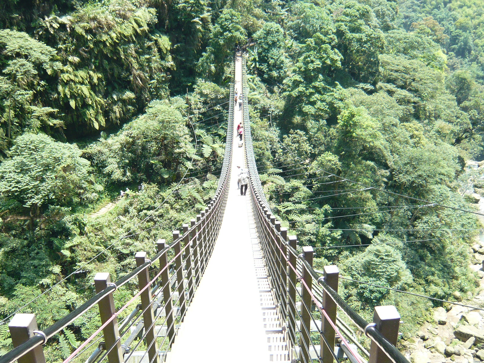 Go Travel: 南投竹山天梯鐵腿行
