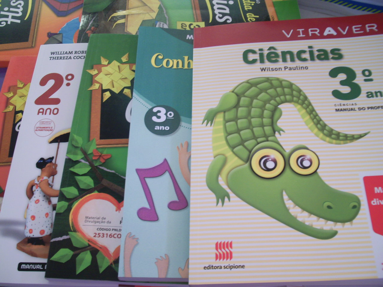 Como E O Procedimento Da Escolha Do Livro Didatico Exemplo