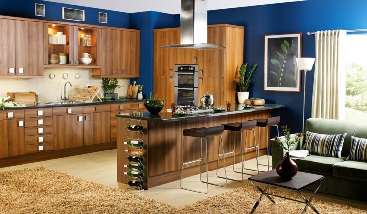 designer kitchen wall colors