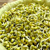 Fight Cancer With Only 4 Tbsp. Per Day Of This