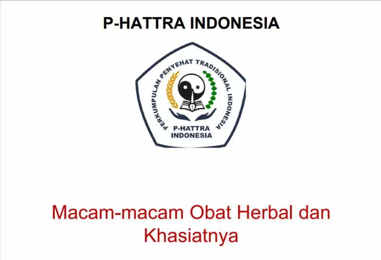 Ebook P Hattra Obat Herbal Dan Khasiatnya Terapi Jarum