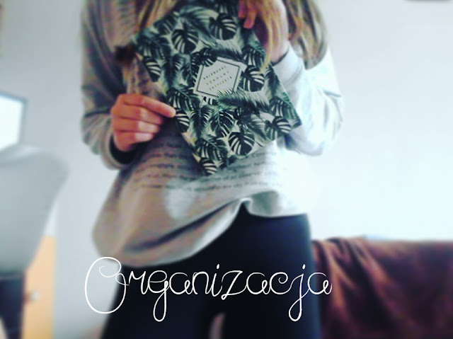 Organizacja