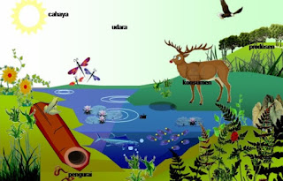 Soal Hubungan Antar Makhluk Hidup dengan Lingkungannya (Simbiosis)