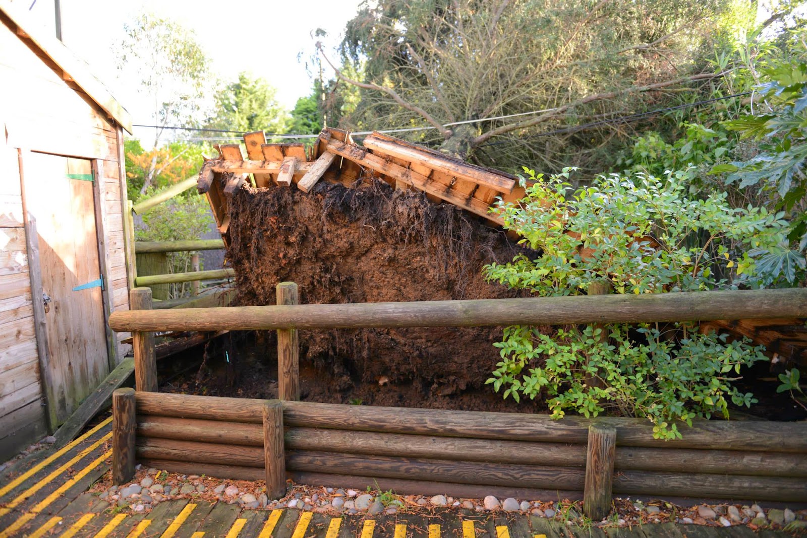 Paradise Zoo News How much does it cost to run a zoo?