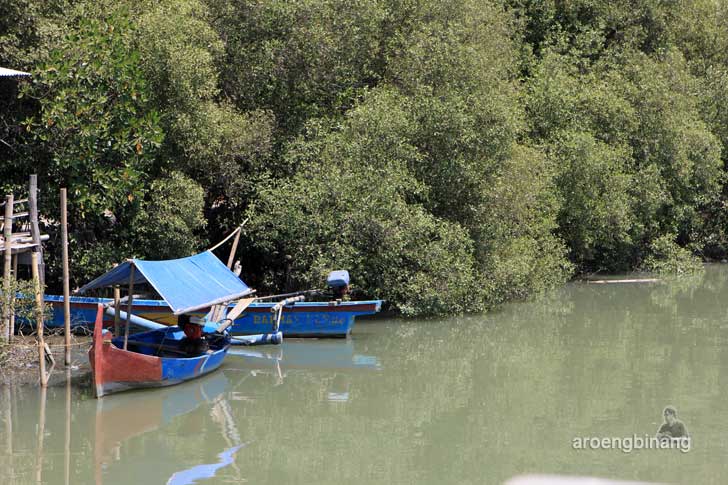 taman mangrove morosari demak