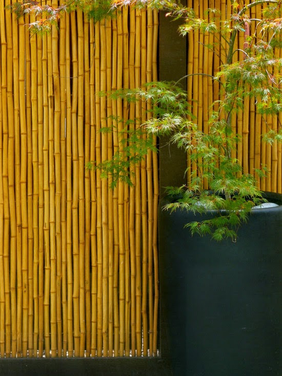 40 Fabulous Ideas to Decorate Your Garden with Bamboo 99create