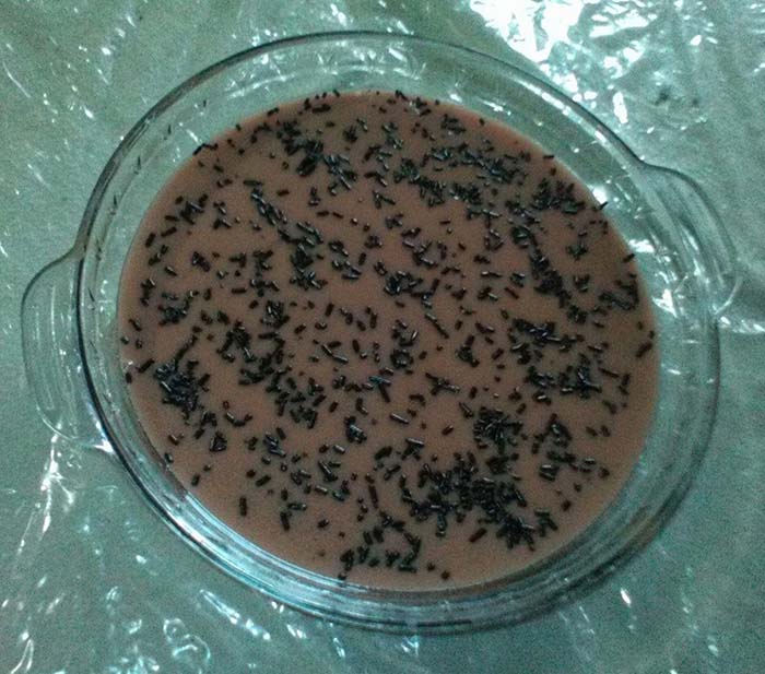 Resep Kue Pirex Zona Ilmu 10