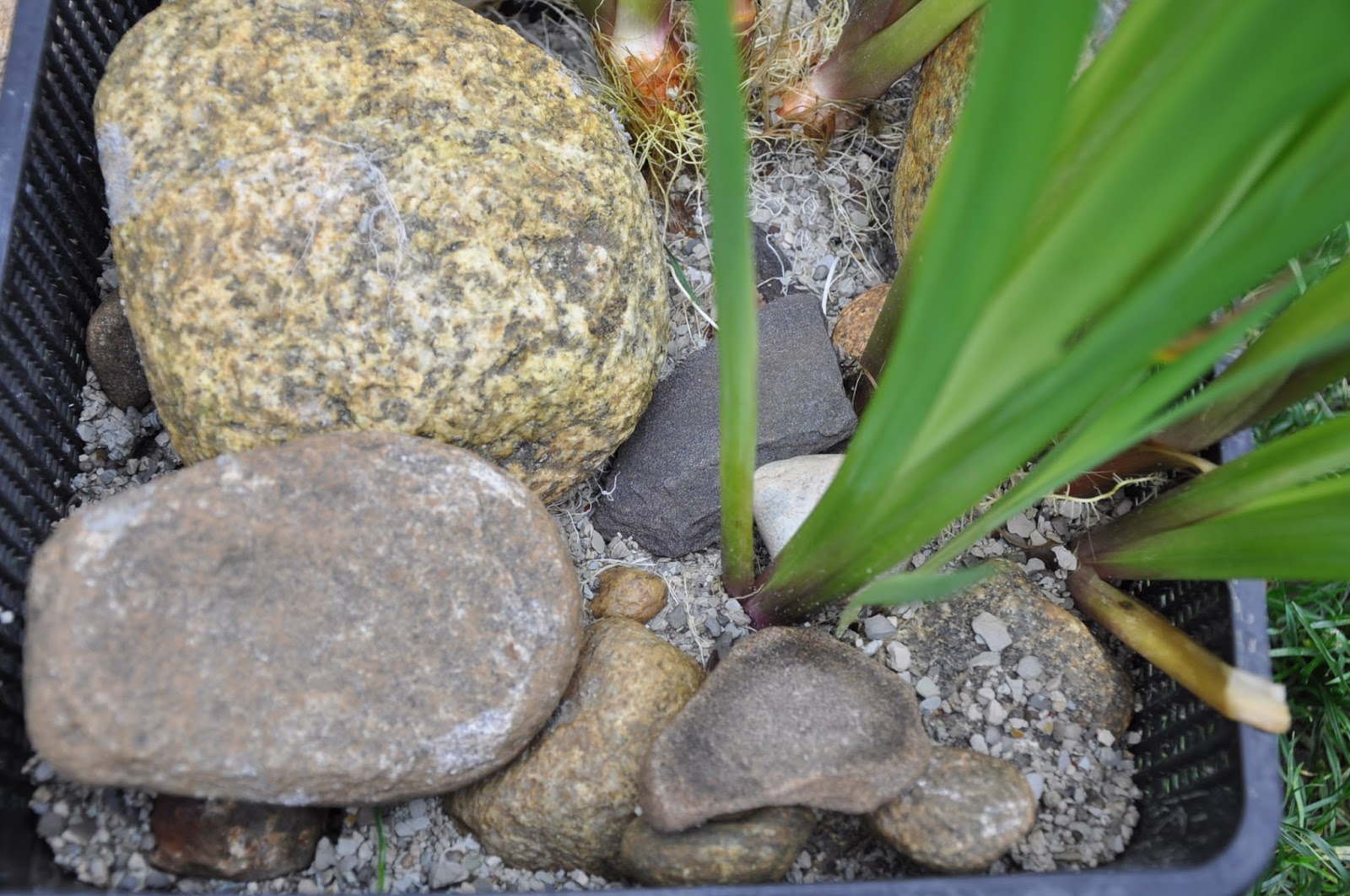 Anoxic Filtration System Cat Litter, please read from a Canadian that