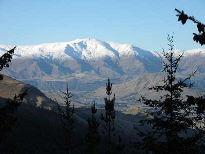 Vistas desde el sendero de Queenstown Hill, Nueva Zelanda Vistas desde el sendero de Queenstown Hill, Nueva Zelanda