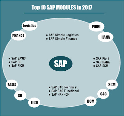 HIGHEST PAID SAP MODULE visual data 2