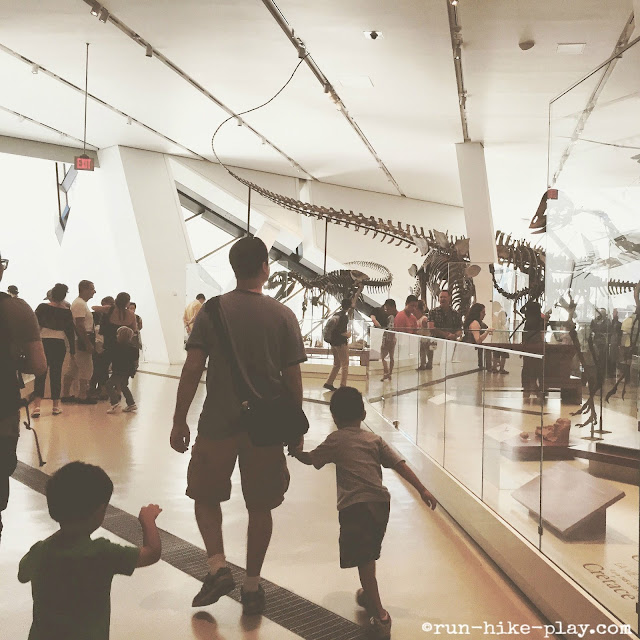 Royal Ontario Museum Dinosaurs
