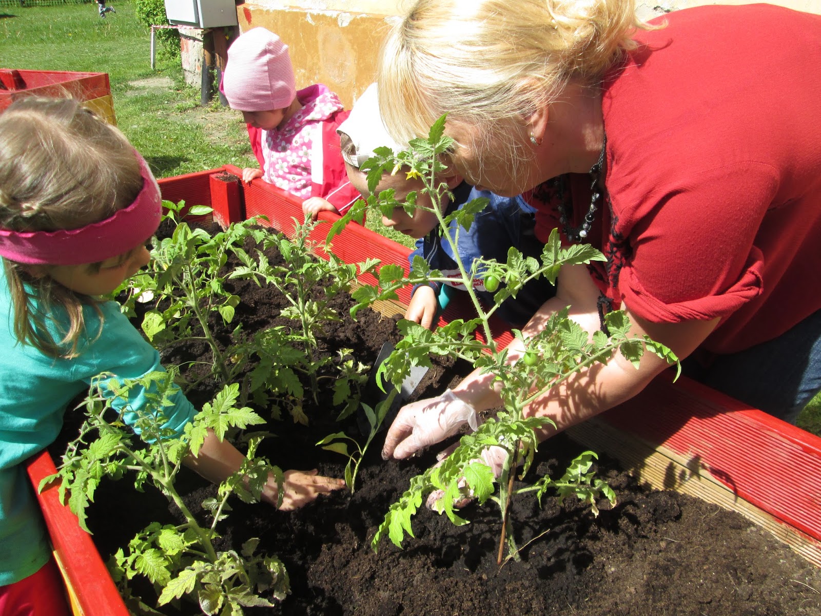 Православный календарь на 2016 год. Можно ли сажать на страстной неделе. На страстной неделе можно работать в огороде. Можно сажать на пасху в огороде. Можно на страстную пятницу ходить на кладбище.