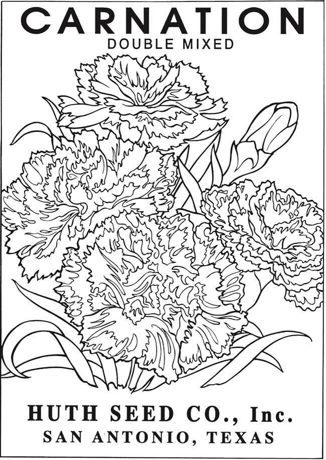 Dragonfly Treasure: Vintage Flower Seed Packets Coloring Pages