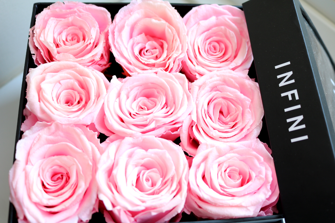 INFINI London Pink Roses review