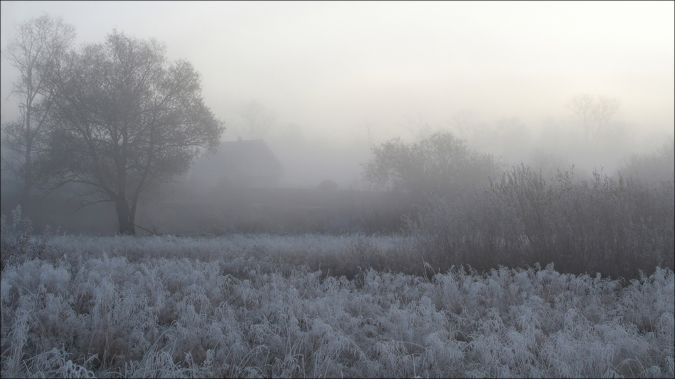 утро туманное тургенев. утро туманное утро седое нивы. нивы печальные.