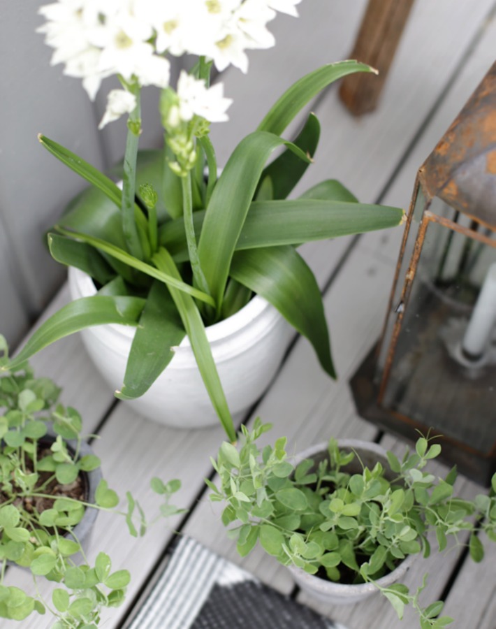 8 Decotips para decorar una terraza de estilo escandinavo