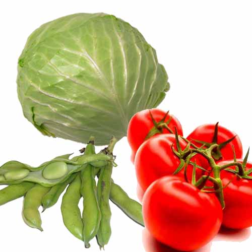 how increase height Home Made Human Growth Hormone Juice