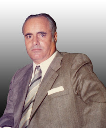 D. FERNANDO NAVARRO VALLE