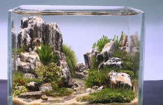 200 Referensi Desain Dan Model Aquascape Berdasarkan Tema https://www.faktapopuler.com/2018/12/200-referensi-desain-dan-model.html