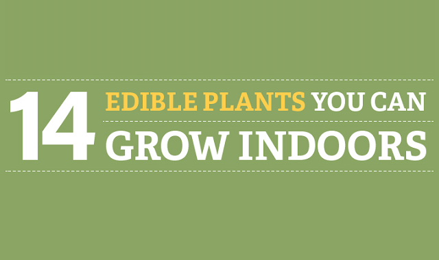 14 Edible Plants You Can Grow Indoors