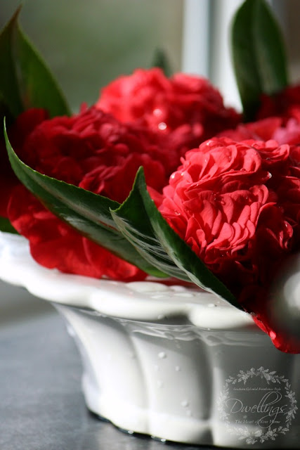 Red camellia in vintage cut flower pot.