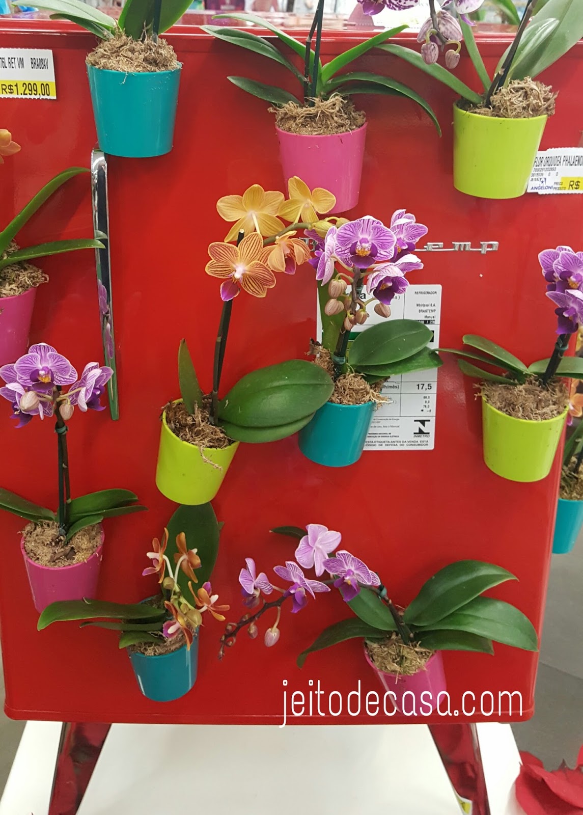 Vasinhos com mini orquídea para porta da geladeira! - Jeito de Casa - Blog  de Decoração e Arquitetura