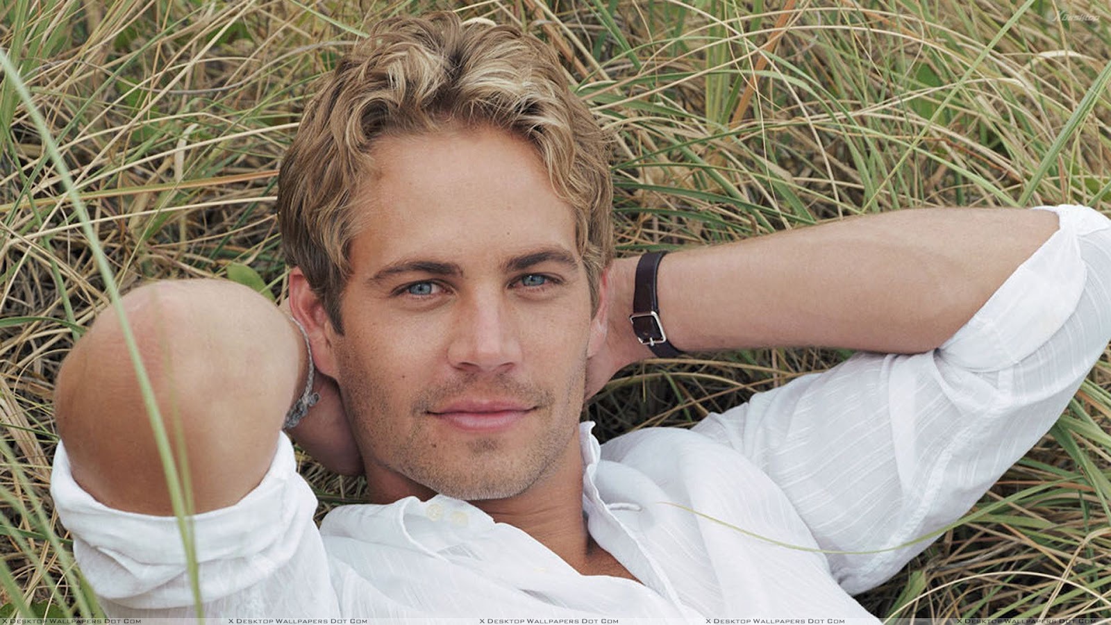 Hollywood: Paul Walker Profile, Pictures, Images And 