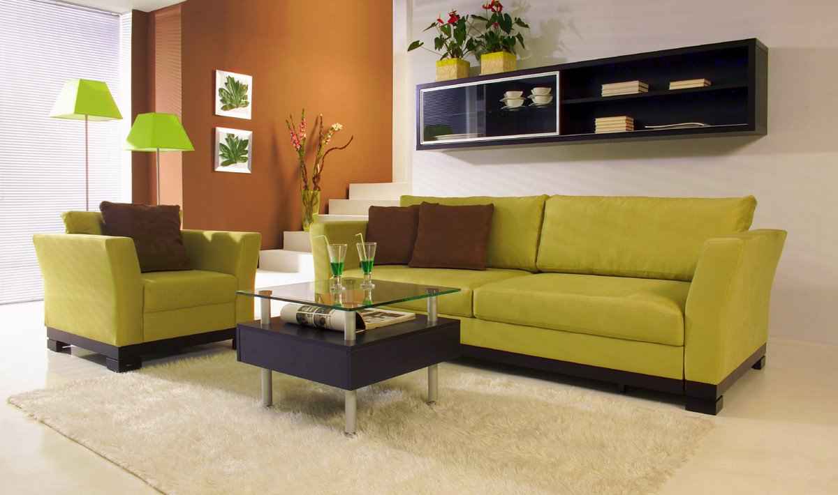 Images Of Black And Green Living Room