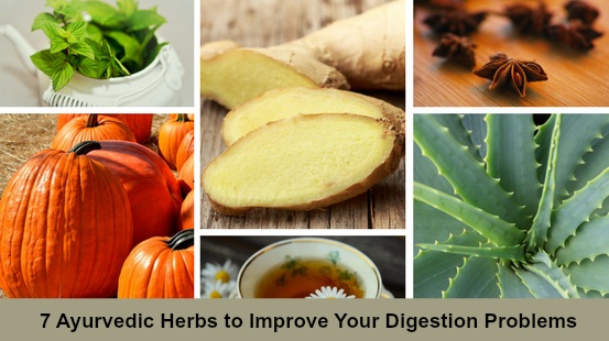 7 Ayurvedic Herbs to Improve Your Digestion Problems 7 Ayurvedic Herbs to Improve Your Digestion Problems