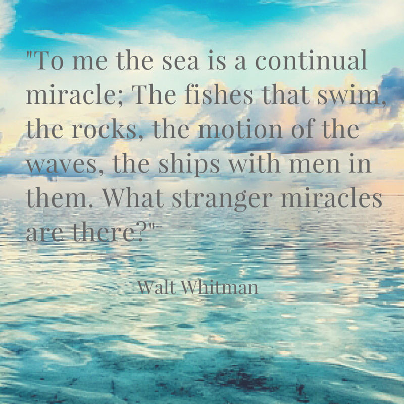 RE/MAX Beaches Blog 10 Quotes About the Sea That We Love