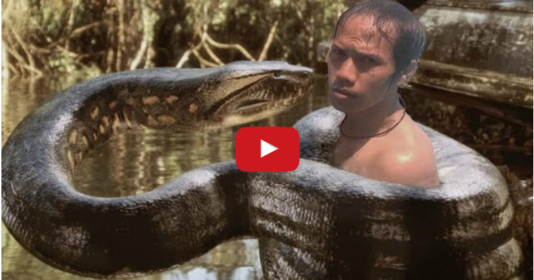 Giant Anaconda Attack Human Real Fight Snake Vs Human Exclusive