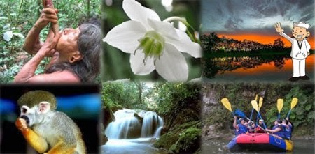 Resultado de imagen para region amazonia
