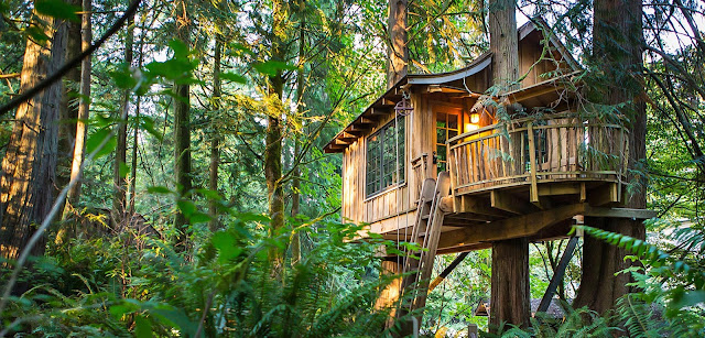 The best tree house hotels from around the world