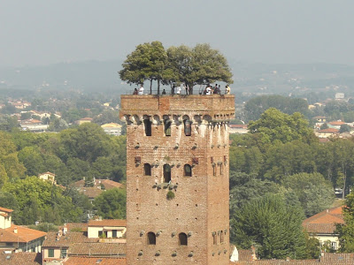 Torre Guinigi le torri più alte