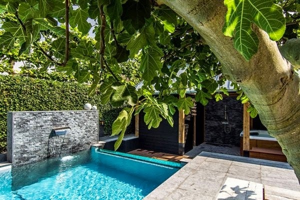 Spa facility and swimming pool in the garden