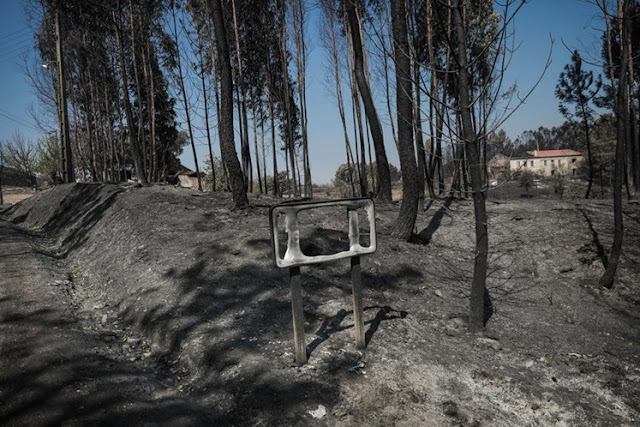 Recolha de bens em Santo Amaro da Boiça Recolha de bens em Santo Amaro da Boiça