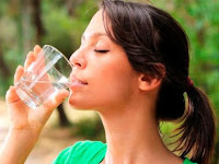 Obat Wasir Ambeien Alami Herbal Daun Ungu Obat Wasir Ambeien Alami Herbal Daun Ungu