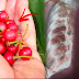 The Amazing Health Benefits Of Kerson (Aratiles) Fruit