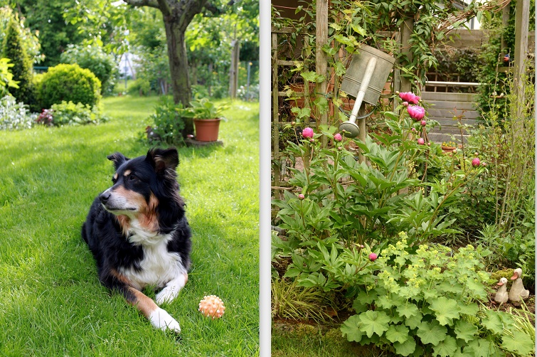 Ländlicher Charme eines Landhausgartens Reihenhaus mit ländlichem Garten
