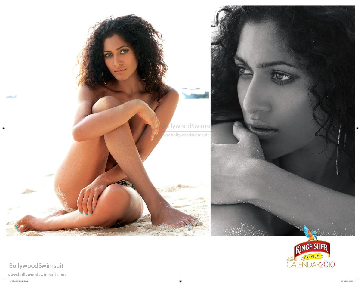 Kingfisher Calendar 2010 Photos 
